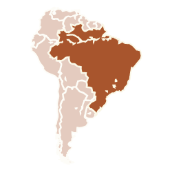 South America